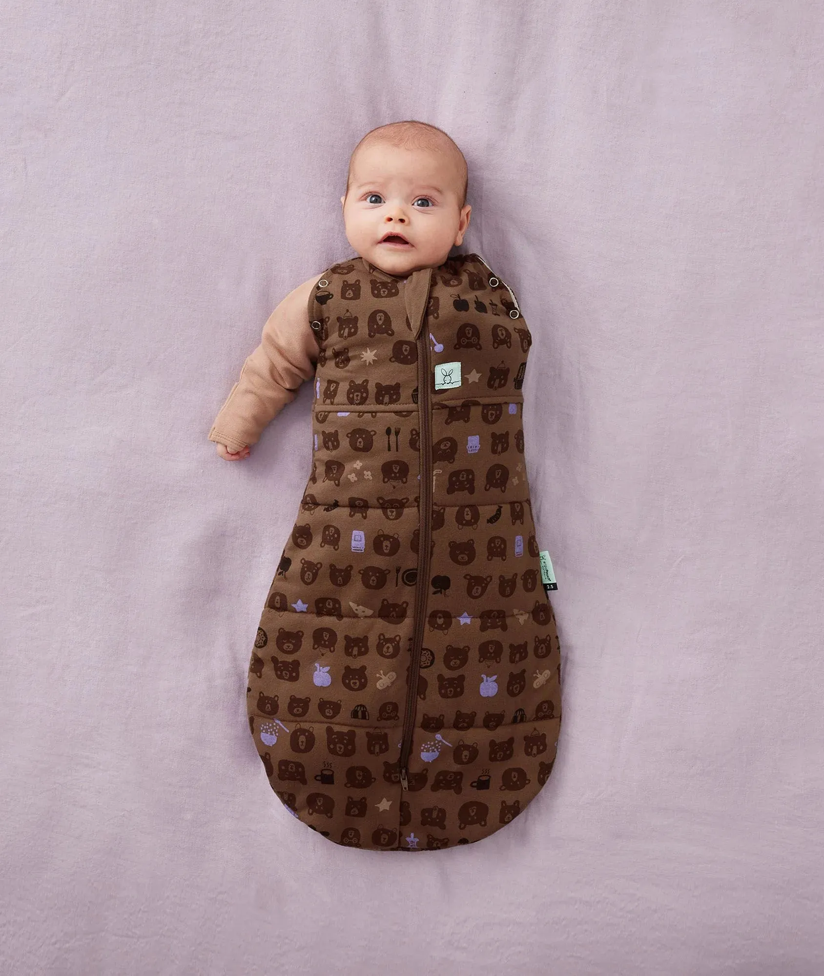 ErgoPouch Cocoon Swaddle 2.5tog Picnic