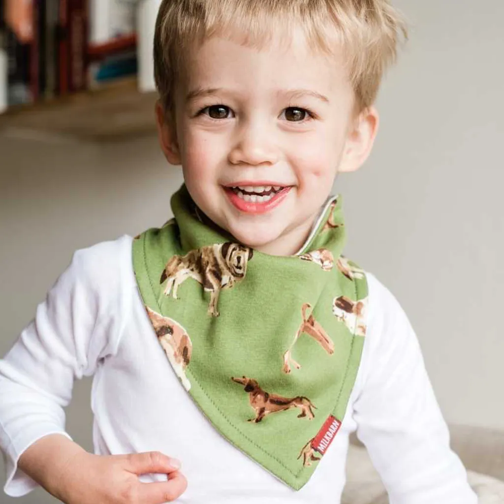 Kerchief Bibs - Organic Cotton