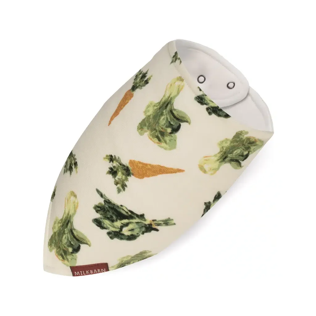 Kerchief Bibs - Organic Cotton