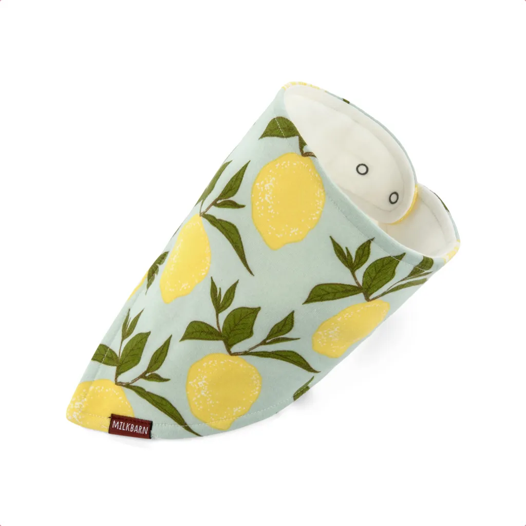 Kerchief Bibs - Organic Cotton