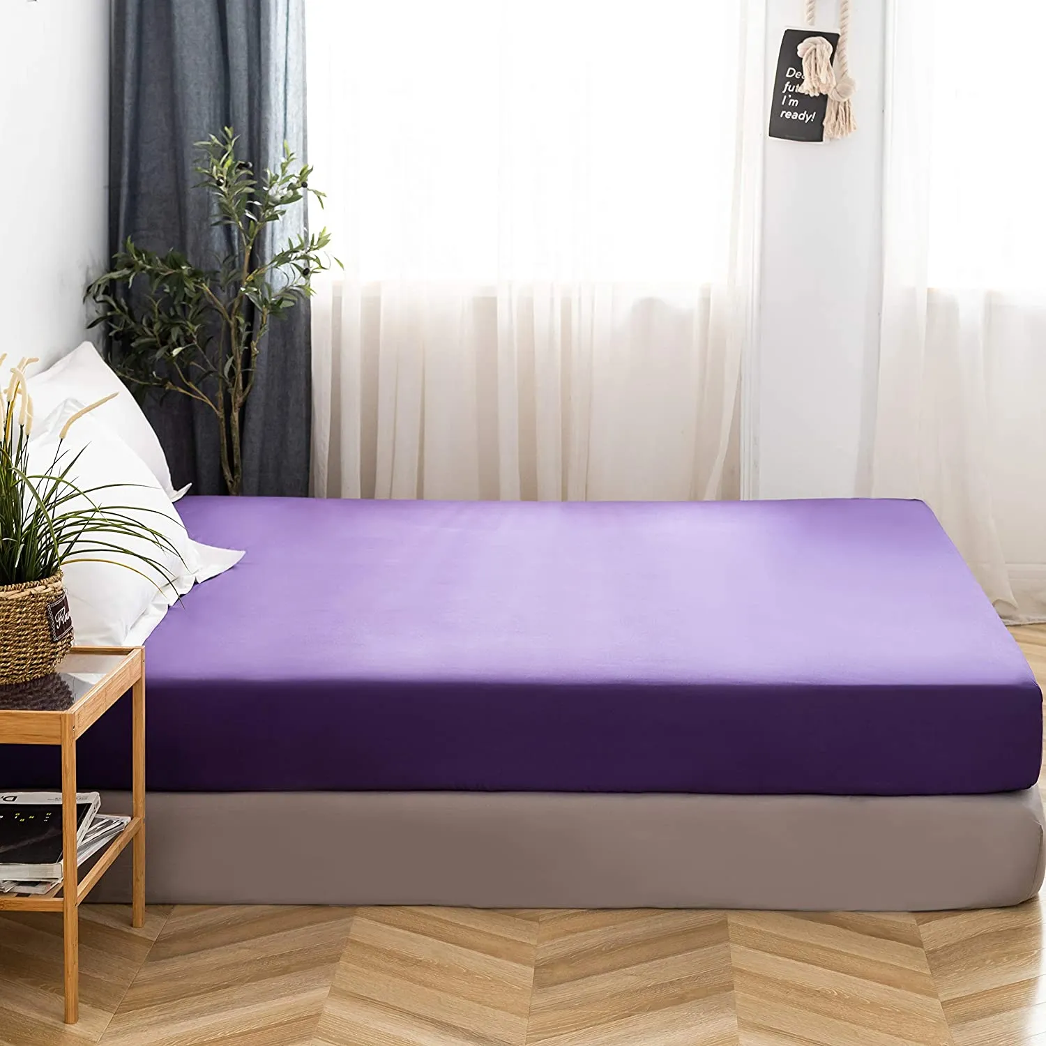 Purple Sheet Sets