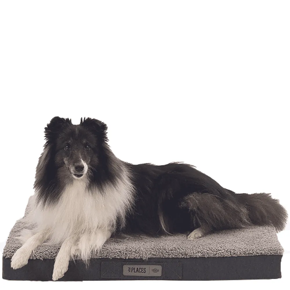 Trixie Bendson Vital Orthopaedic Mattress for Dogs (Grey)